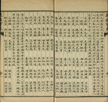 《鼠瘟寶卷》養貓內容